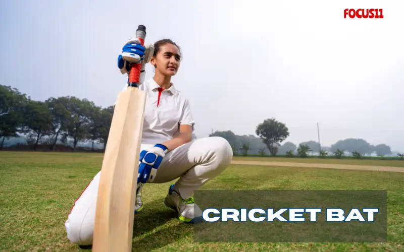 Cricket Bat