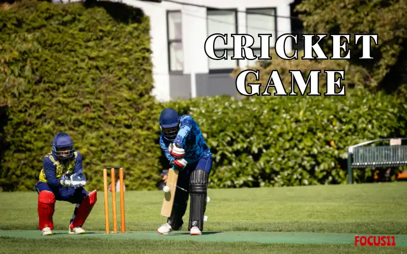 cricket game